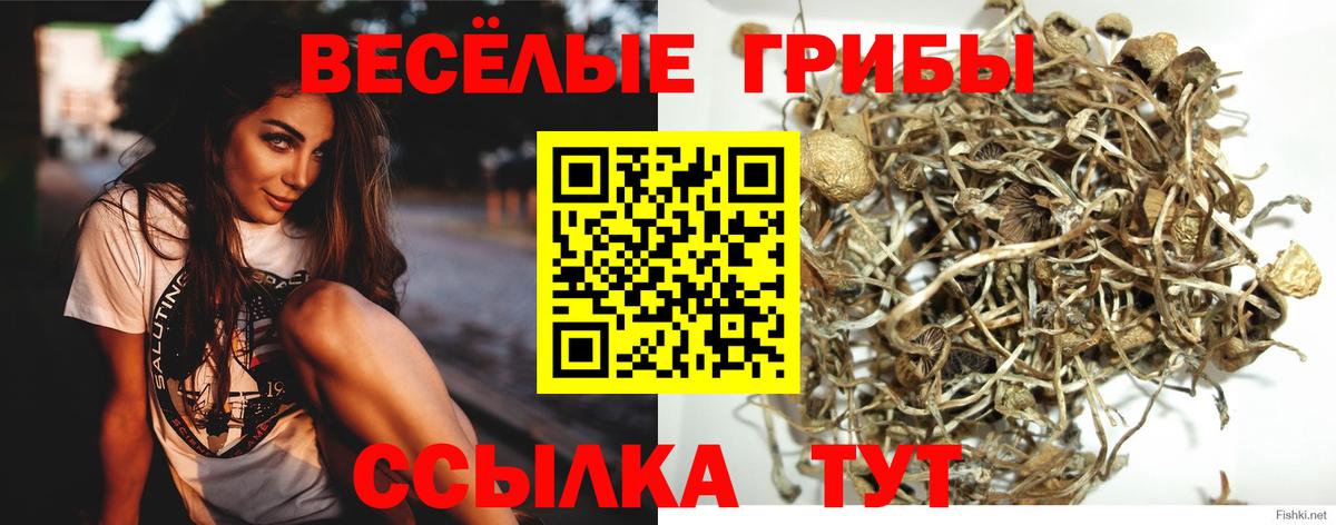 Владивосток  Псилоцибиновые грибы MAGIC MUSHROOMS  Вход с VPN 
